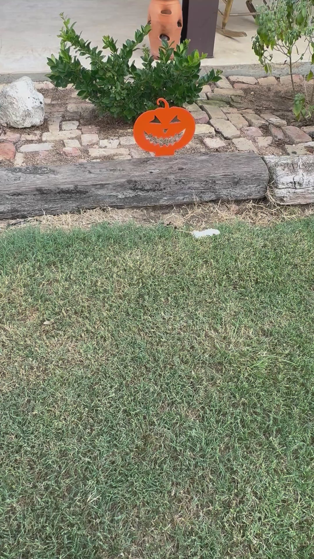 Pumpkin Signs (Set of 3)